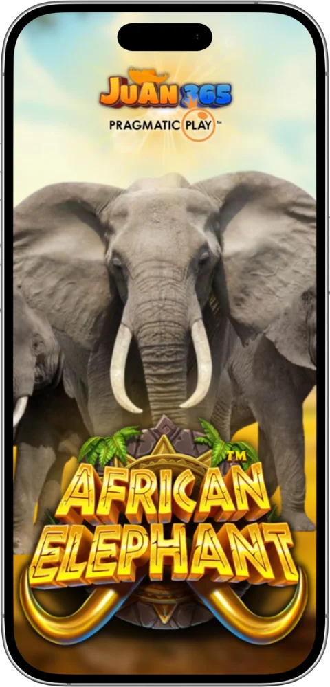 african elephant slot featured image